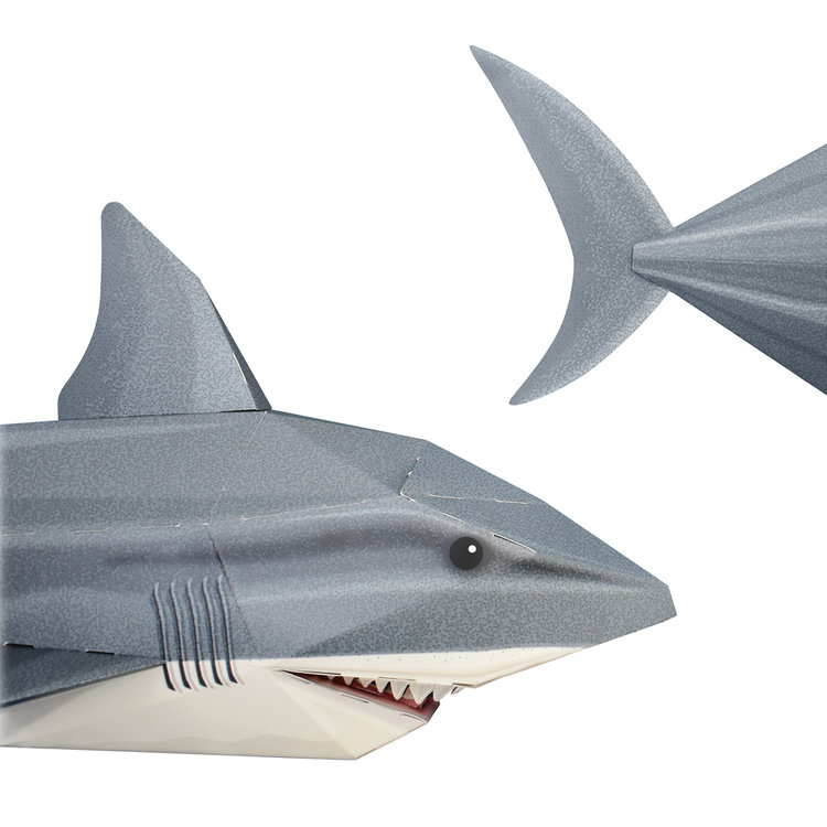 Create Your Own Snappy Shark - Image 4